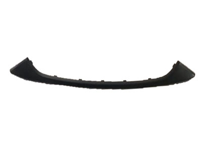 Decorative strip on the front bars of Qin 